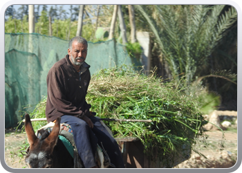 033 van Taliouine naar Taroudant (37)