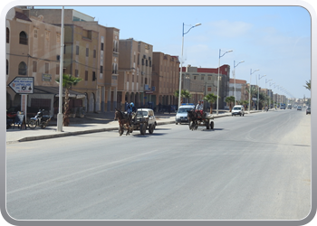 033 van Taliouine naar Taroudant (38)