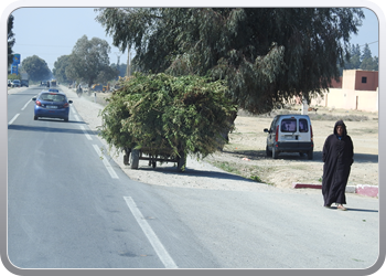 033 van Taliouine naar Taroudant (40)