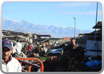 040 Markt Taroudant (16)