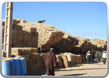 040 Markt Taroudant (19)