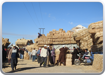 040 Markt Taroudant (20)