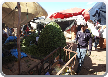 040 Markt Taroudant (38)