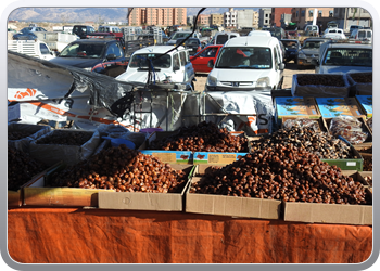 040 Markt Taroudant (5)