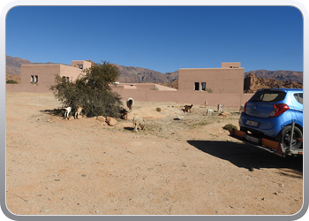 041 Tafraoute (21)