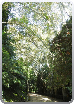 027 botanische tuin Malaga (2)