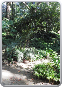 027 botanische tuin Malaga (6)