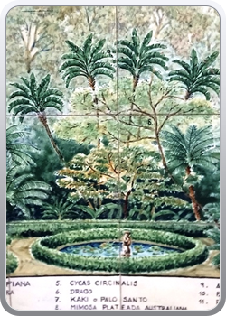 028 botanische tuin Malaga (10)