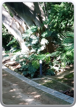 028 botanische tuin Malaga (19)