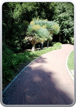 028 botanische tuin Malaga (73)