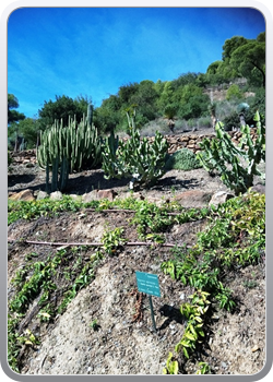 028 botanische tuin Malaga (90)