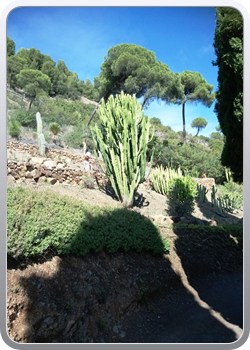 028 botanische tuin Malaga (95)