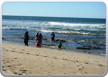 055 Strandwandeling bij de camping (9)