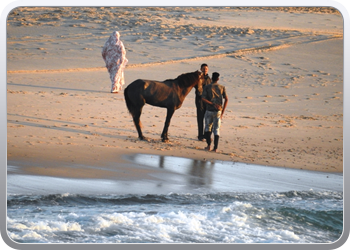 059 Op weg naar Dakhla (26)