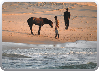 059 Op weg naar Dakhla (27)