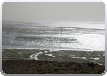 060 Dakhla (36)