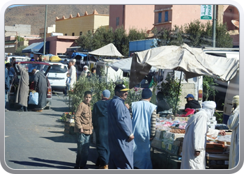 075 Naar Tafraoute via Tighmert (12)