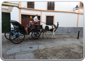 027 Wandeling in Cordoba (17)