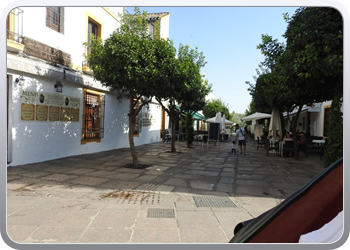 027 Wandeling in Cordoba (8)