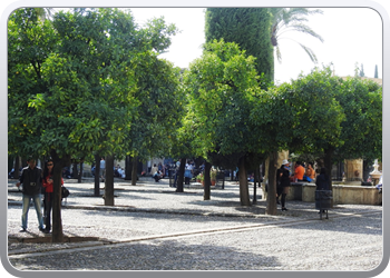 028 Wandeling in Cordoba (24)