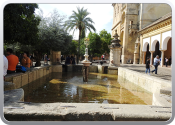 028 Wandeling in Cordoba (27)