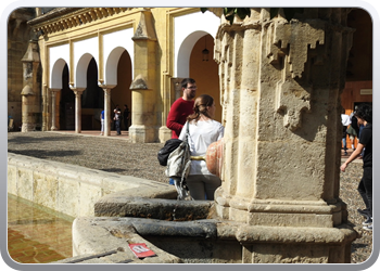 028 Wandeling in Cordoba (28)