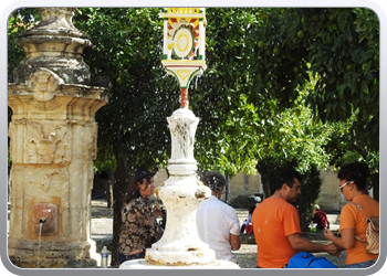 028 Wandeling in Cordoba (29)