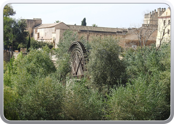 028 Wandeling in Cordoba (45)