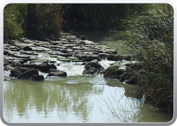 028 Wandeling in Cordoba (46)