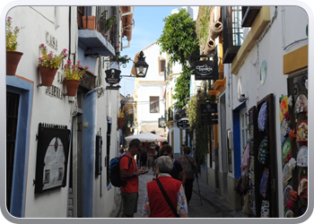 036 Wandeling door Cordoba (4)