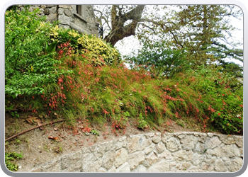 001 quinta de regaleira (154)