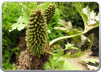 001 quinta de regaleira (159)