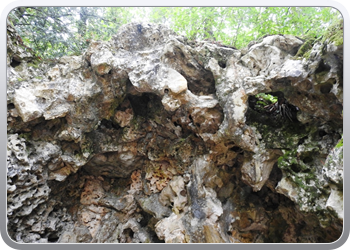 001 quinta de regaleira wandeling door de tuin(45)01