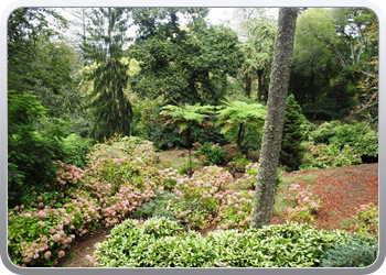 001 quinta de regaleira wandeling door de tuin(45)08