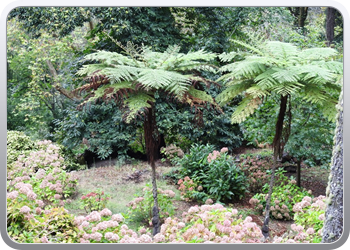 001 quinta de regaleira wandeling door de tuin(45)09