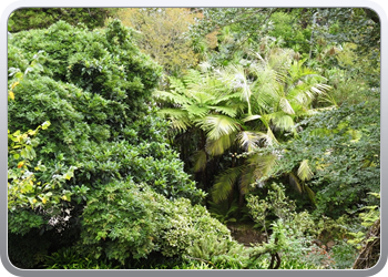 001 quinta de regaleira wandeling door de tuin(45)31