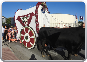 016 Feria (10)