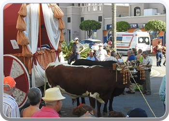 016 Feria (29)