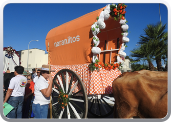 016 Feria (6)