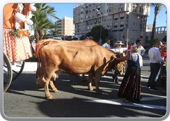 016 Feria (7)