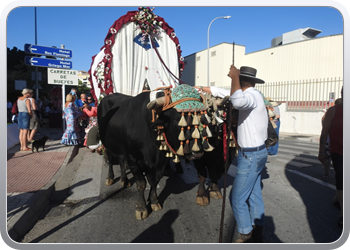 016 Feria (8)