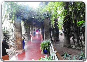 001 Jardin Majorelle (10)