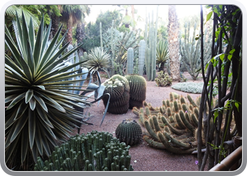 001 Jardin Majorelle (11)