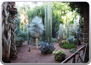 001 Jardin Majorelle (15)