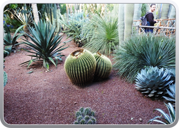 001 Jardin Majorelle (18)