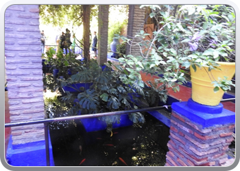 001 Jardin Majorelle (24)