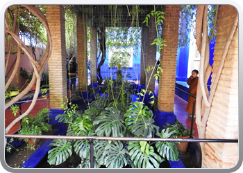 001 Jardin Majorelle (26)