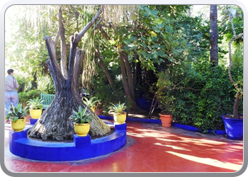 001 Jardin Majorelle (27)