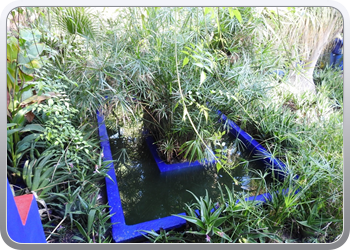 001 Jardin Majorelle (29)