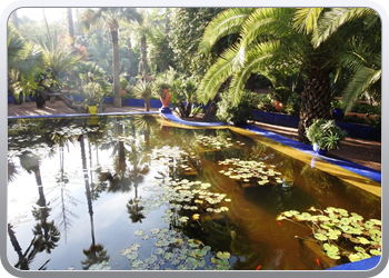 001 Jardin Majorelle (31)